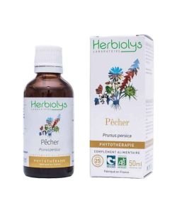 Herbiolys PHYTO Pêcher 50mL BIO - Prunus persica BIO, 50 ml